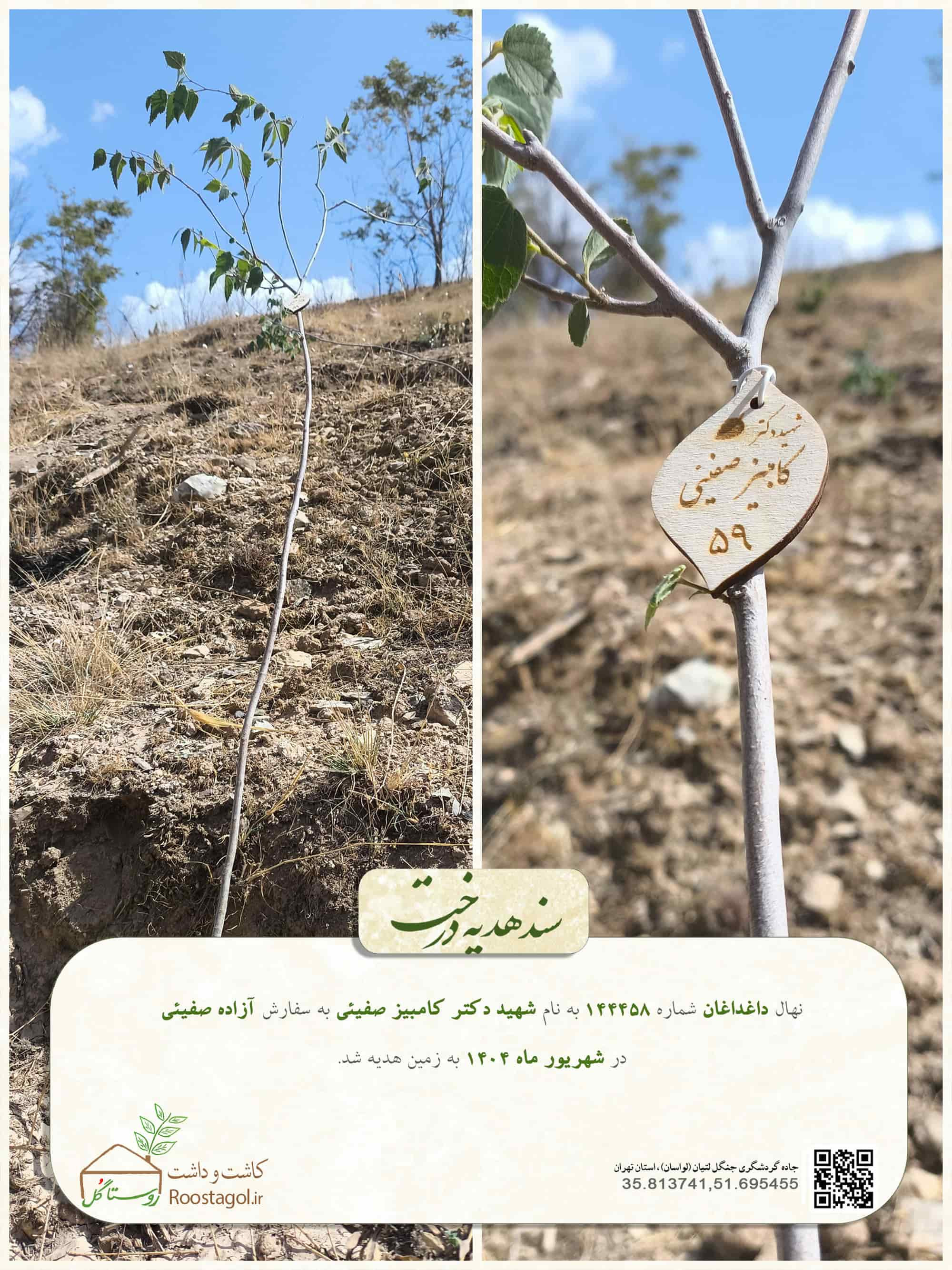 شهيد دكتر كامبيز صفيئى59